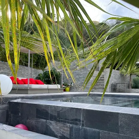 Vila Dezem-infinity Pool-hot Tub-near Cannes-panorama-ac Mandelieu